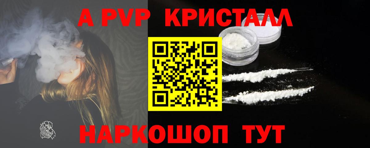 Alfa_PVP СК Сунжа