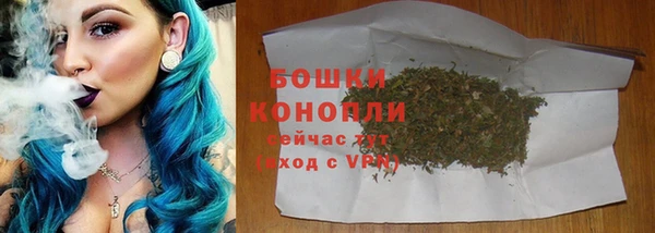 стафф Медногорск