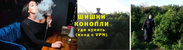 стафф Медногорск
