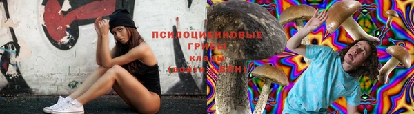 мескалин Магадан