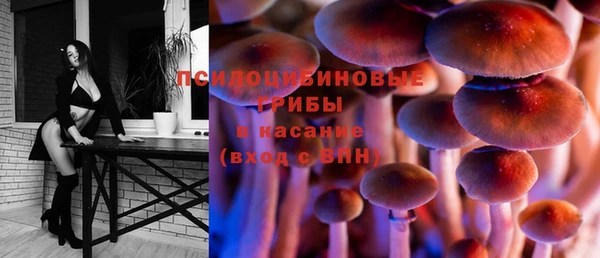 mdma Медвежьегорск