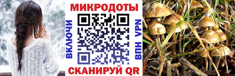 Псилоцибиновые грибы мицелий  где можно купить наркотик  Сунжа 