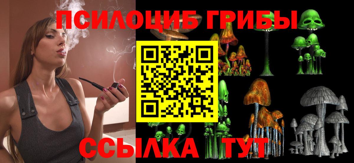 Галлюциногенные грибы Psilocybe  Галлюциногенные грибы GOLDEN TEACHER  Сунжа  Вход с VPN 