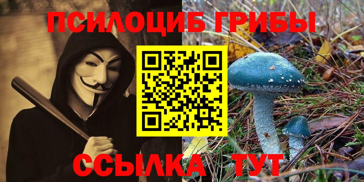 Меф МЯУ МЯУ   Гашиш  Магазины продажи наркотиков  Метамфетамин  Вейп ТГК  Вход с VPN  Канабис  Сунжа  COCAIN 