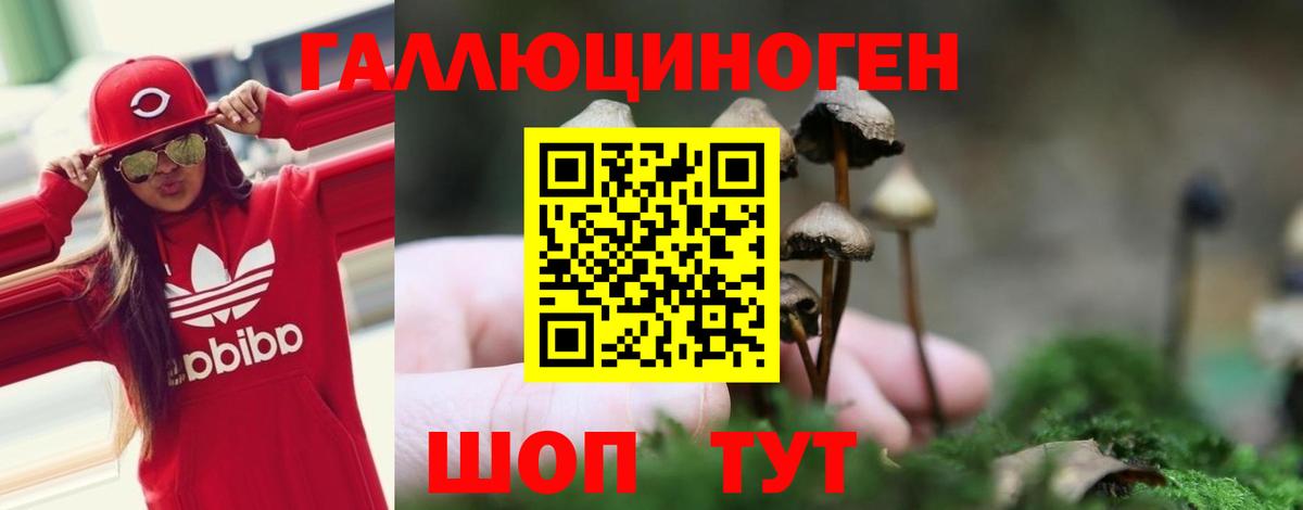 Псилоцибиновые грибы Magic Shrooms Сунжа